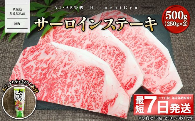 <最短7日発送> 常陸牛A5等級 サーロインステーキ500g (250g×2枚) あらぎりわさび1本付 〈茨城県共通返礼品〉 K2420