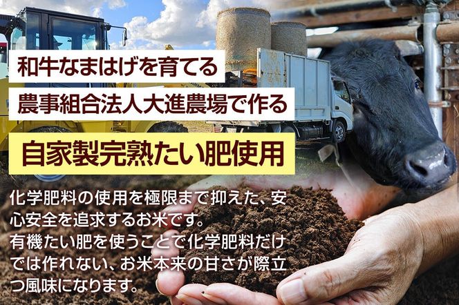 令和7年産 ミルキークイーン（精米）5kg（5kg×1袋）白米 こめ お米 秋田県 男鹿市 大進農場 [こめ 秋田 男鹿市 ミルキークイーン 白米]|23_dsf-100501