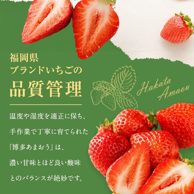 【先行予約】【アフター保証】4月発送！「博多あまおう」約250g×4パック【ほたるの里】_HA0526