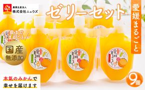 【皮までまるごと国産無添加】愛媛まるごとゼリーセット（9個） IKTF009