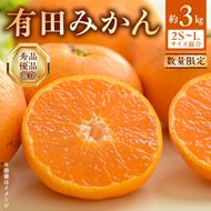 【2026年先行予約】 有田みかん 約 3kg 2S～Lサイズ サイズ混合 30個 前後 秀品 優品 紀州 有田 みかん 温州みかん フルーツ 果実 甘み 酸味 絶妙 バランス 果物 柑橘 国産 食品 食べ物 マルシ農園 お取り寄せ 和歌山県 湯浅町 送料無料_BF6031n