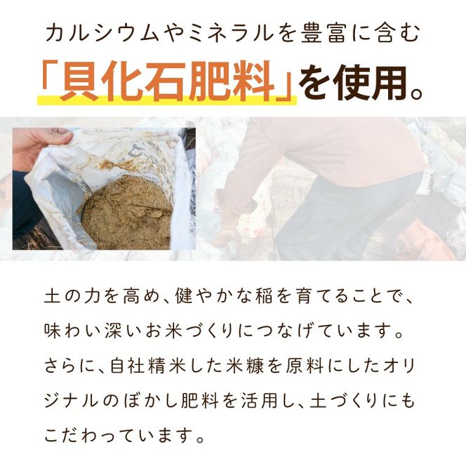 ★新米 令和8年★ 米 5kg 白米 「ゆうだい21」 ＼先行予約／ 山﨑観光農園 栃木県 益子町 ふるさと納税 お米 ゆうだい21 白米 精米 5キロ 令和8年産 先行予約 (AU058)