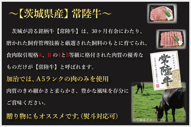 DT-1【常陸牛A5ランク】サーロインステーキ　400ｇ（200ｇ×２枚）