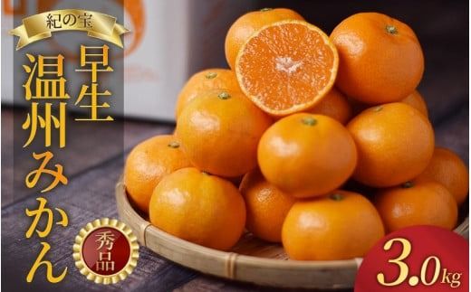 みかん たにぐち農園早生温州みかん(マルチ栽培) 3kg[2025年11月中旬〜12月中旬に順次発送] / 不揃い 早生 温州 みかん 蜜柑[mtn101A]