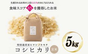 特別栽培米 コシヒカリ ヒロシノキモチ 玄米 5kg ブランド米 銘柄米 国産 米 お米 日本米 ギフト 贈り物 備蓄 防災 食品 陽咲玲 はるざれ F6T-988