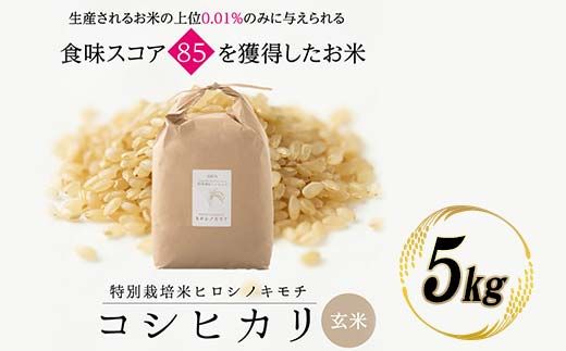 特別栽培米 コシヒカリ ヒロシノキモチ 玄米 5kg ブランド米 銘柄米 国産 米 お米 日本米 ギフト 贈り物 備蓄 防災 食品 陽咲玲 はるざれ F6T-988