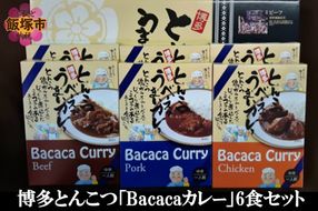 【A5-255】博多とんこつ「Bacacaカレー」6食セット