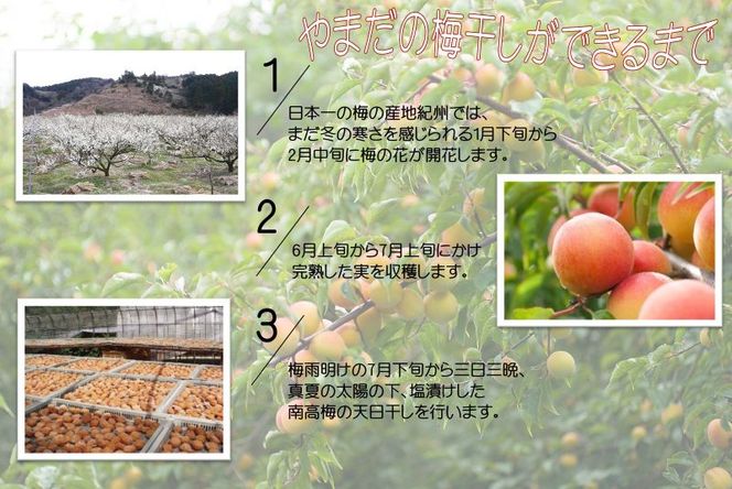 YD1009_紀州南高梅しそプレミアム塩分約6％（500ｇ）