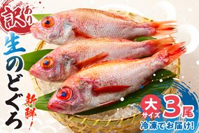 【兵庫県香住産 処理済 のどぐろ大3匹 1匹約250g前後 計約700～800g 冷凍】令和8年3月下旬以降、順次発送予定 日本海 生冷凍 鮮度抜群 急速冷凍 白身のトロ 産地直送 兵庫県 香美町 香住 柴山 山陰 大人気 おすすめ 宿院商店 33-31