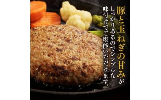 「まるみ豚」宮崎県産豚肉　ハンバーグ・精肉セット　計1.6kg 【 豚肉 豚 肉 国産 川南町 ハンバーグ 精肉 】[D11511]