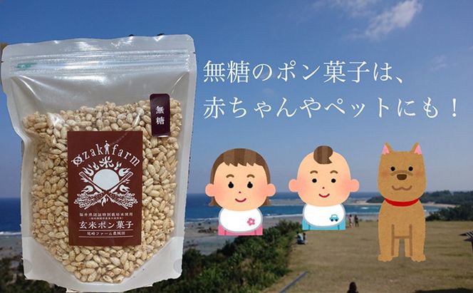 赤ちゃんやペットも食べられる！贈り物にもピッタリ！若狭おやつセット　　目白大学の学生が考案、その3 和菓子 スイーツ お菓子 ゼリー ジュレ ジャム お菓子セット 