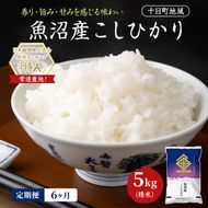 【6ヶ月定期便】魚沼産こしひかり(十日町地域) 精米 5kg 米 お米 コシヒカリ 定期 十日町市