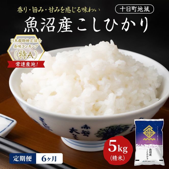 【6ヶ月定期便】魚沼産こしひかり(十日町地域) 精米 5kg 米 お米 コシヒカリ 定期 十日町市