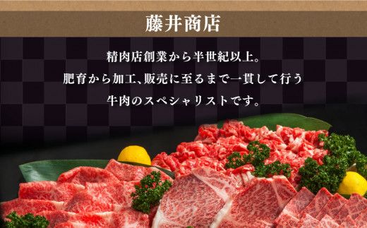 常陸牛すね肉 500g×2 合計1kg（茨城県共通返礼品） |  小分け 茨城県産 カレー シチュー 煮込み料理 冷凍
