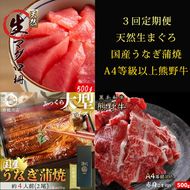 〈毎月定期便〉紀州和歌山うまいもんセットB(生まぐろ・うなぎ蒲焼・熊野牛)全3回 ※離島への配送不可