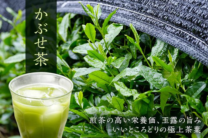 粉末かぶせ茶400g　人気の緑茶を臼挽きで粉末に　宇治茶の木谷製茶場　〈 かぶせ茶 緑茶 宇治茶 粉末 粉末茶 お茶 茶 煎茶 玉露 上級 日本緑茶 臼挽き カテキン 人気 宇治 〉 加工食品 