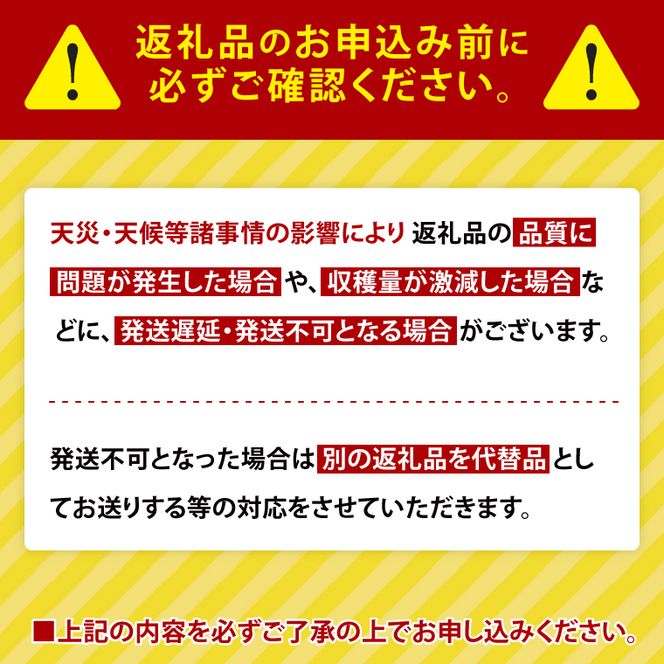 【2027年2月より発送】【訳あり】行方かんしょ「紅まさり」さつまいも約10kg（洗い・不揃い・C品）｜さつまいも サツマイモ さつま芋 お芋 紅まさり 訳あり わけあり 訳アリ 行方かんしょ 先行予約 茨城県 行方市(AE-111)