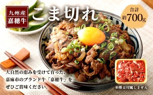 yÖszÕ䋍 ܐ؂ 700g  Ԑ؂ 