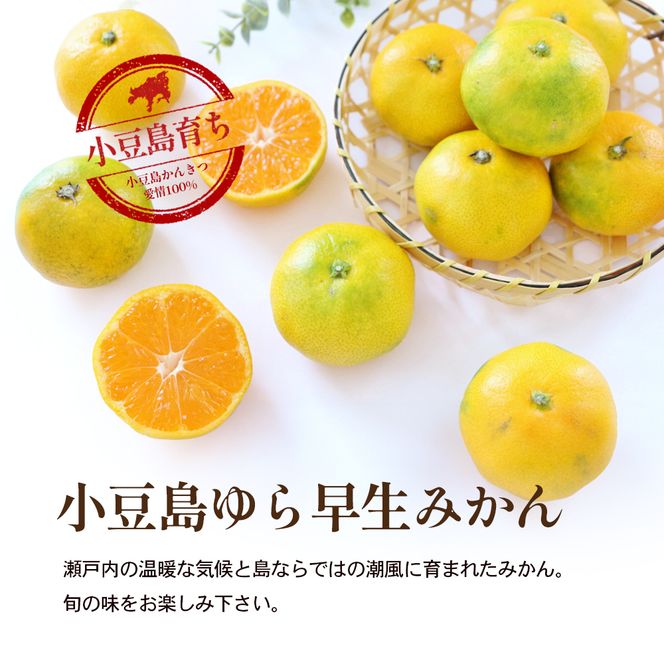 【 小豆島 】小豆島 ゆら早生みかん 約3kg 柑橘 みかん ミカン 果物 フルーツ ゆら早生 ジューシー くだもの 国産 香川 香川県 土庄 土庄町