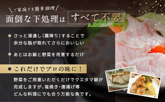 近大クエタマ鍋セット500g（2027年2月上旬～2月中旬発送） 304018_A021