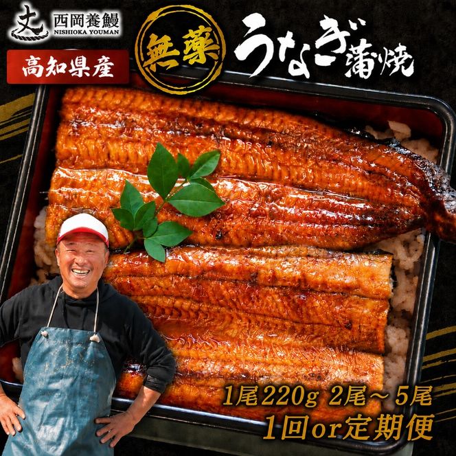国産 うなぎ 蒲焼 1尾 220g 2尾 ~ 5尾 1回 2回 ～ 5回 定期便 高知県産 無添加 ▼ 国産 うなぎ 鰻 ウナギ 蒲焼 うなぎ 蒲焼き うなぎ タレ 山椒 付き うなぎ ウナギ 鰻 冷凍 鰻 うなぎ ウナギ 鰻 人気 ウナギ うなぎ おすすめ うなぎ おいしい unagi うなぎ