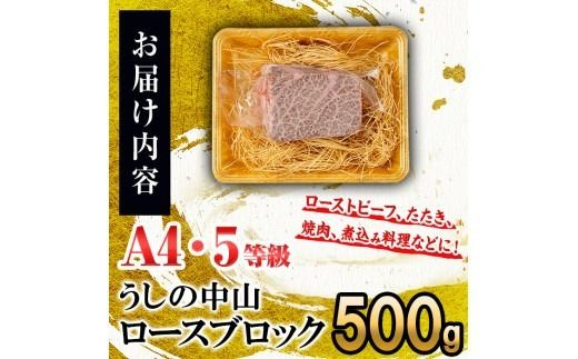 ロースブロック 500g×1P c0-126
