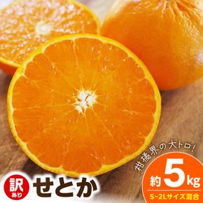 【2027年先行予約】《訳あり 家庭用》せとか 約5kg（S～2Lサイズ混合）_EQ6002