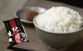 【先行予約】2025年産 有機栽培 コシヒカリ 紀生(きりゅう) ＼容量が選べる！／ 【2025年9月下旬～順次発送】米 こめ お米 おこめ コシヒカリ こしひかり 精米 白米 ご飯 国産 美味しい おいしい ふっくら 新鮮 数量限定 三重県 紀宝町【rnm001-002】