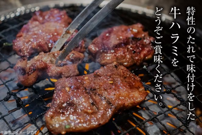 牛肉 味付け牛 サガリ 350g 11袋 計約3.8kg [小林食品 福岡県 宇美町 um40azo890015] 肉 焼き肉 サガリ 味付け牛肉 牛焼肉 個包装 冷凍