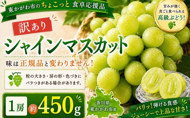 東かがわ市のちょこっと食卓応援品「訳ありシャインマスカット1房（約450g）」
