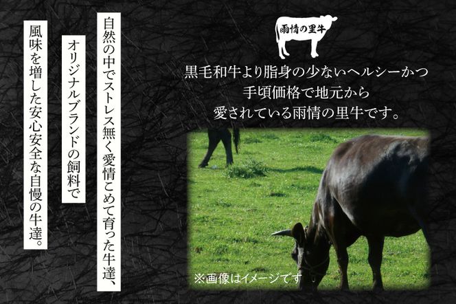 雨情の里牛ローススライス700ｇ「すき焼き用」【ブランド牛 牛肉 お肉 牛スライス すきやき 鍋】(BL204)