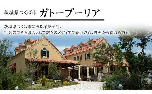 【牛久市産 落花生 使用】 ピーナッツ エクレア 12個 甘い おいしい 美味しい ピーナツ スイーツ おうちカフェ お菓子 おやつ お取り寄せ 国産 茨城 特産品 [AR003us]