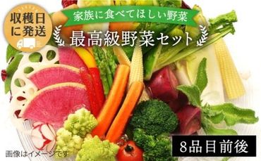 【 栽培期間中農薬 ・ 化学肥料 不使用 】こだわり 高級 野菜 セット《糸島》【オーガニックナガミツファーム】[AGE014] 野菜セット 野菜 やさい サラダ 詰め合わせ トマト とまと 野菜野菜セット 野菜やさい 野菜サラダ 野菜詰め合わせ 野菜トマト 野菜とまと 野菜ベビーリーフ 野菜水菜 野菜ハーブ 野菜オクラ 野菜人参 野菜にんじん 野菜ニンジン 野菜ほうれん草 野菜クレソン 野菜かぼちゃ 野菜カボチャ 野菜じゃがいも 野菜玉ねぎ