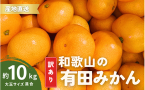 家庭用 有田みかん 和歌山 訳あり わけあり 大玉(2L,3Lサイズ混合) 約9kg【11月上旬～1月下旬頃に順次発送】/ みかん フルーツ 果物 くだもの 有田みかん 蜜柑 柑橘【ktn012B】