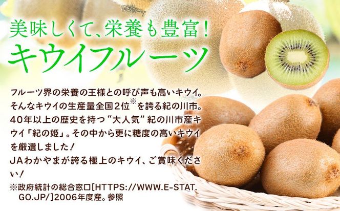 【先行予約】紀の姫キウイフルーツ約3.6kg（20～27玉入） JAわかやま 紀の里地域本部 《1月上旬-2月末頃出荷》和歌山県 紀の川市---wsk_jak23_1j2m_24_12000_3600g---