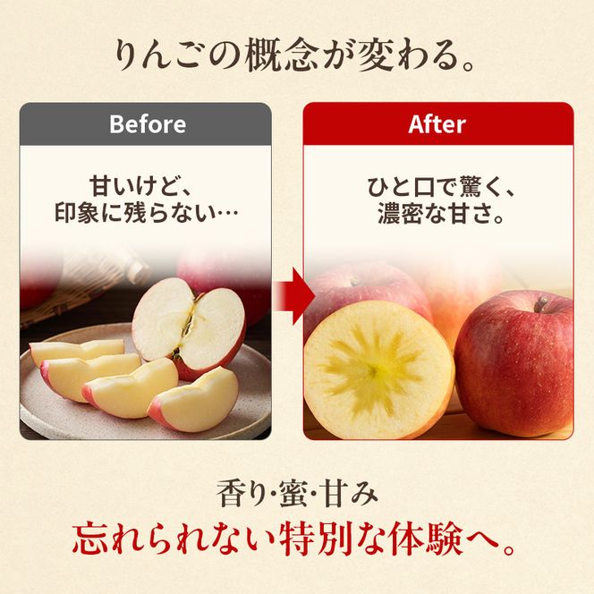 ★数量限定★ 幻のりんご こうとく (高徳) 3kg 蜜入り 希少 高級 果物 フルーツ 先行予約 宮城県 大河原町 リンゴ 林檎 くだもの 送料無料