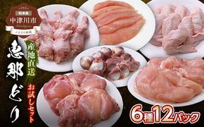 産地直送！恵那どり お試し6種 12パックセット 冷凍 F4N-2403