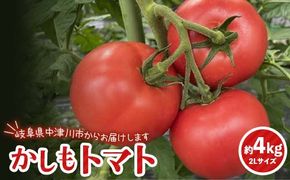 食べて実感 濃い味かしもトマト約4kg 東美濃農業協同組合【期間限定　選果場直送！】 F4N-1961