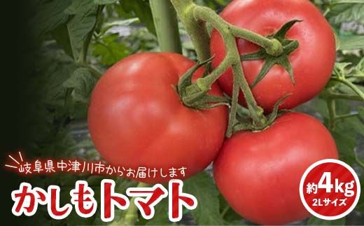 食べて実感 濃い味かしもトマト約4kg 東美濃農業協同組合【期間限定　選果場直送！】 F4N-1961