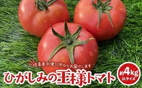 赤熟もぎりのひがしみの王様トマト約4Kg 東美濃農業協同組合【期間限定　選果場直送！】 F4N-1266