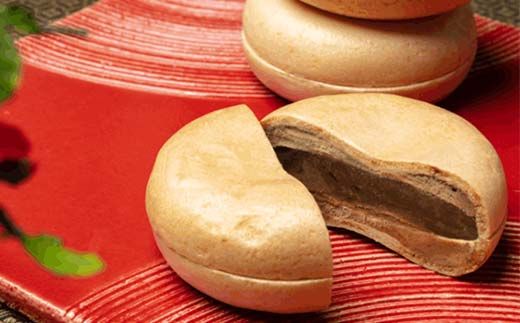 バラエティセット【年5回定期便】 定期便 アイス アイスクリーム ジェラート 最中 最中アイス 贈答 家族パック バラエティパック バラエティセット 乳製品 お菓子 箱詰め F4N-1829