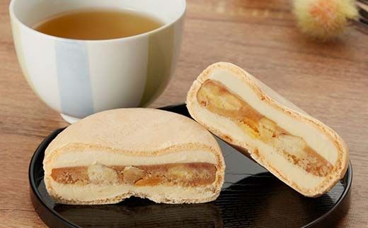 中津川市之瀬最中アイスお試し6個セット アイス アイスクリーム ジェラート 最中 最中アイス 贈答 家族パック バラエティパック バラエティセット 乳製品 お菓子 箱詰め セット商品 F4N-1840