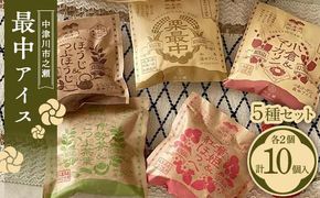 中津川市之瀬最中アイス 5種セット 各2個 計10個入り 定期便 アイス アイスクリーム ジェラート 最中 最中アイス 贈答 家族パック バラエティパック バラエティセット 乳製品 F4N-1841