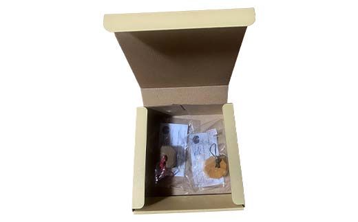 木のペットボトルオープナー(2個セット) 早川木工所 ふるさと納税 ギフト プレゼント 自然 木 便利 木製品 ペットボトル かわいい 木のぬくもり オリジナル 森林 木の香り F4N-1894