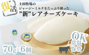 復活 ジャージーミルクたっぷり使用 レアチーズケーキ 6個 セット 土田牧場 ジャージー牛乳 チーズケーキ ケーキ 洋菓子 お菓子 おやつ デザート スイーツ 秋田 秋田県 にかほ市