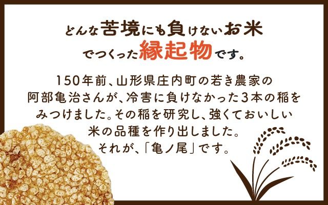 山形庄内かめこめプロジェクト 亀の尾せんべい 80g×6袋 つぶつぶ食感 煎餅 米菓 おやつ お菓子