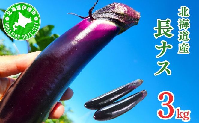＜先行予約＞北海道伊達産 長ナス 3kg 詰め [2026年発送]【ogr-001】
