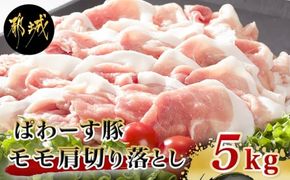 「ぱわーす豚」モモ肩切り落とし5kg_18-6404_(都城市) 都城産 豚肉 豚モモ肩切落とし肉(250g×20パック) 計5キロ ブランドポーク  真空パック 小分け