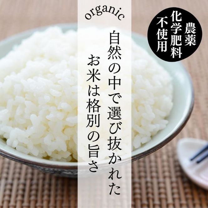 令和8年産先行予約 定期便 4ヶ月 ベストファーマーズ賞受賞 いのちの壱 白米 2kg 無農薬 米 お米 チャック付 チャック 小分け  産地直送 長野 定期 4回