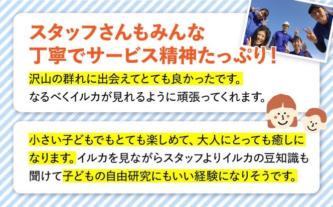 南島原 イルカウォッチング 4人用チケット / イルカ 観光 南島原市 / 南島原イルカウォッチング[SAE002]